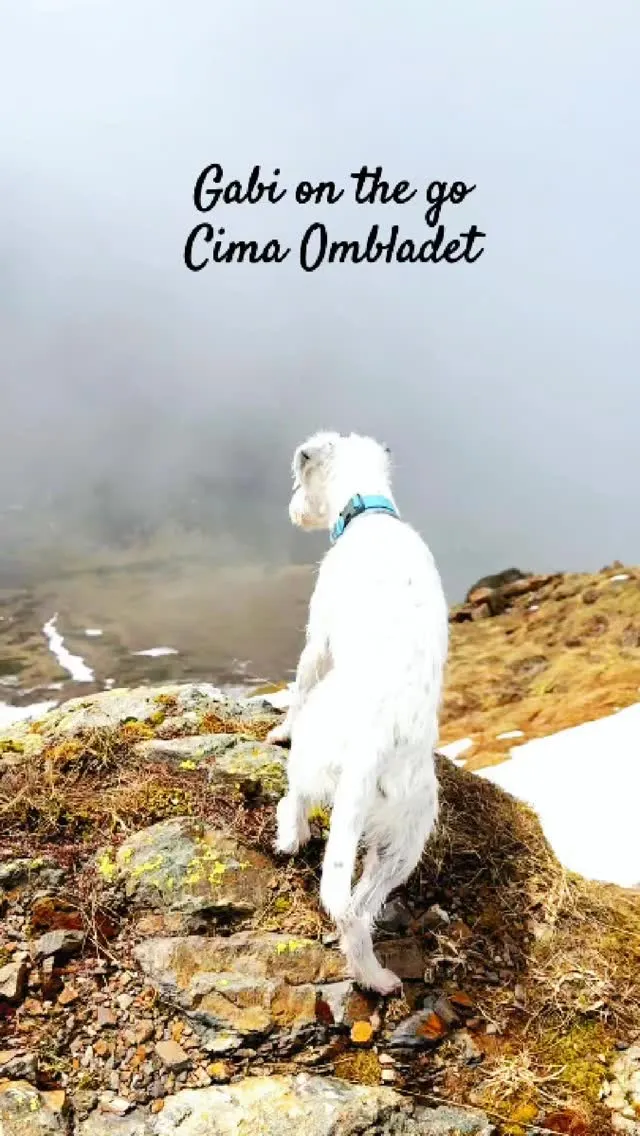 maja.cebiel_post_17902043460175301